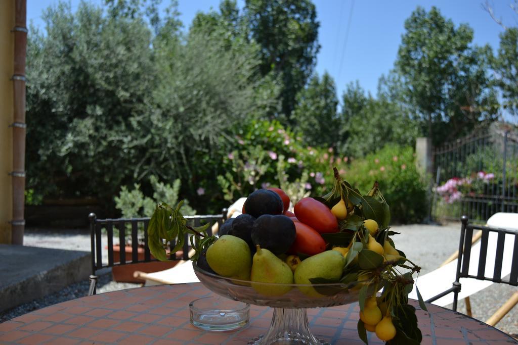 Bioagriturismo Antica Sena Milici Extérieur photo